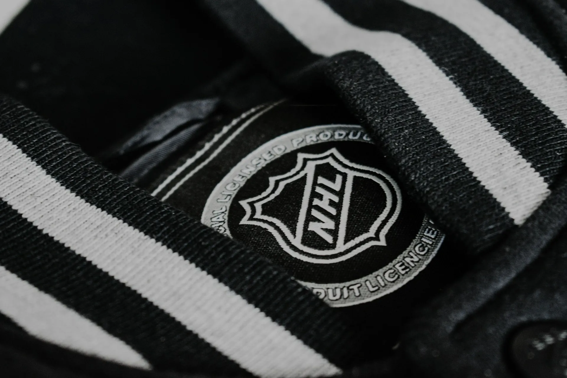 Sports Loyalty Programs and Mobile Fan Apps: NHL Case Study