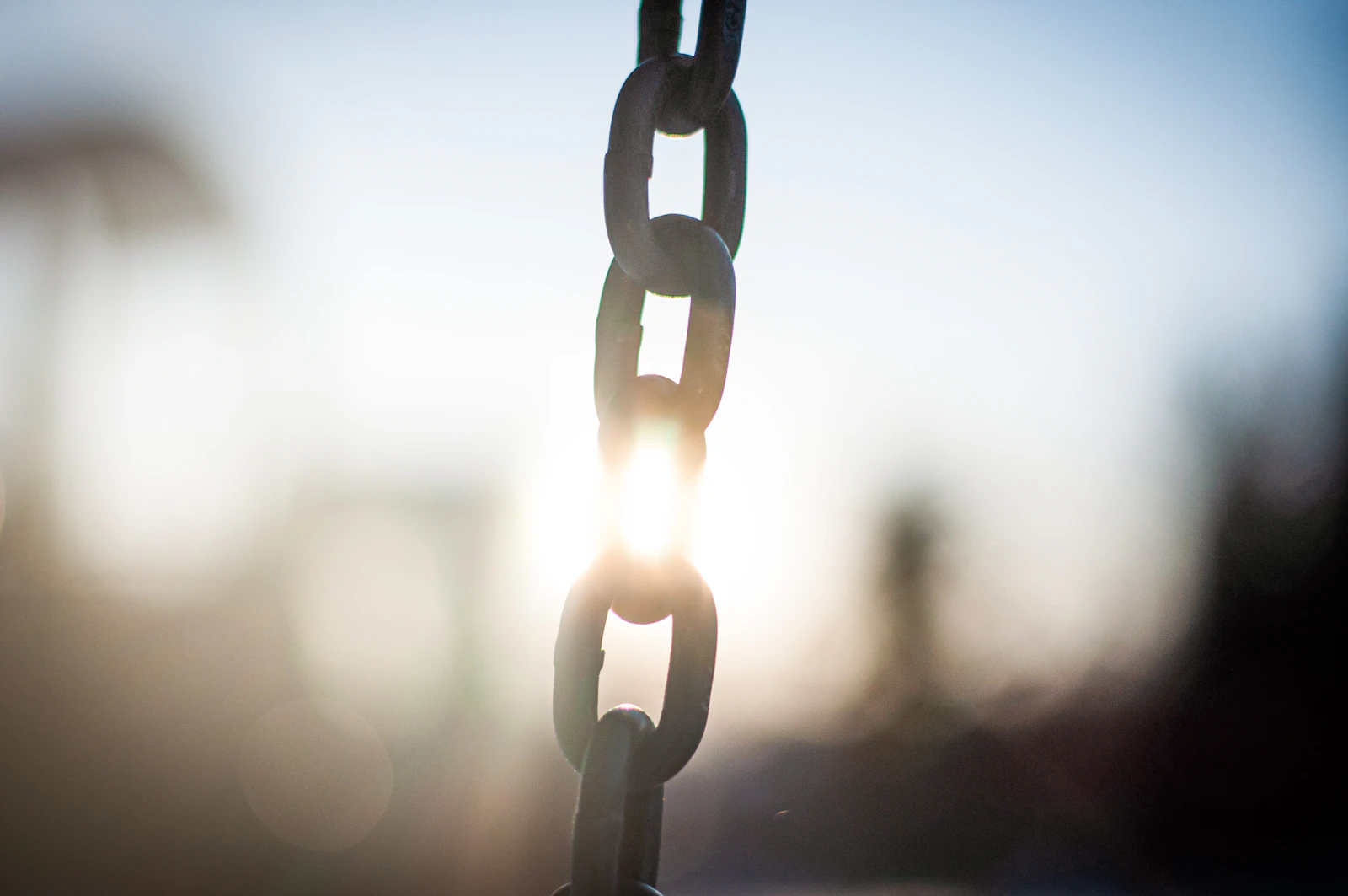 Supply Chain Attacks 2024-2026: XZ, npm, and PyPI Lessons