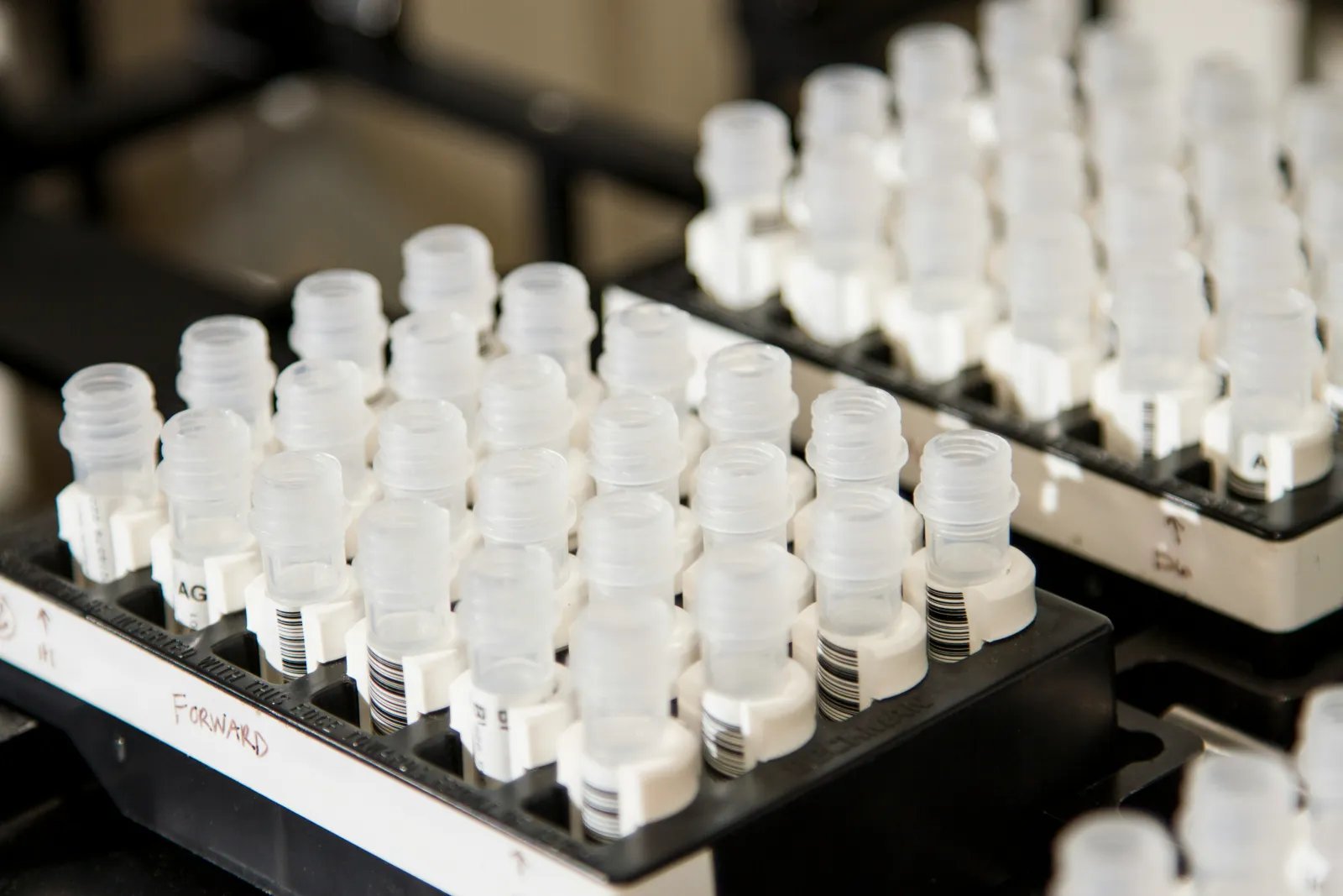 Regfo: AI Regulatory Compliance for Biotech, Fintech